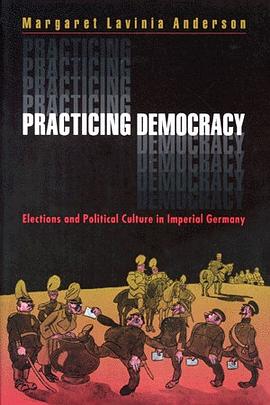Practicing Democracy pdf epub mobi 下载