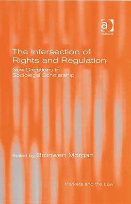 The Intersection of Rights and Regulation pdf epub mobi 电子书 下载
