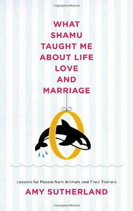 What Shamu Taught Me About Life, Love, and Marriage pdf epub mobi 下载
