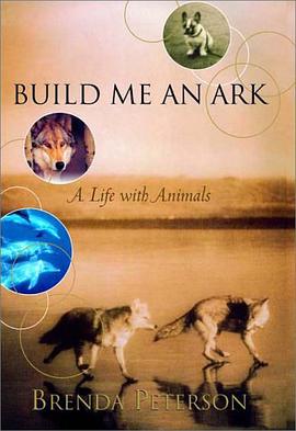 Build Me an Ark pdf epub mobi 电子书 下载