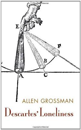 Descartes' Loneliness pdf epub mobi 电子书 下载