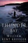 Thunder Bay pdf epub mobi 下载