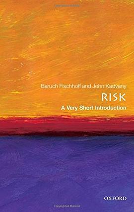 Risk pdf epub mobi 电子书 下载