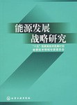 能源發展戰略研究 pdf epub mobi 電子書 下載