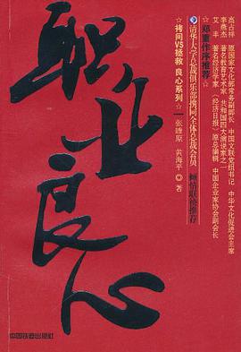 职业良心 pdf epub mobi 电子书 下载