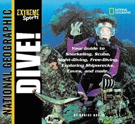 Dive pdf epub mobi 电子书 下载