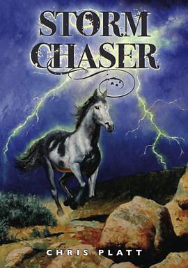 Storm Chaser pdf epub mobi 电子书 下载