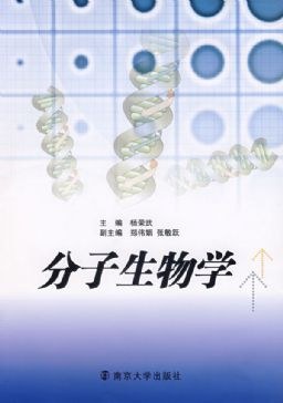 数学奥赛经典测试-6年级 pdf epub mobi 电子书 下载