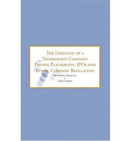The Lifecycle Of A Technology Company pdf epub mobi 電子書 下載