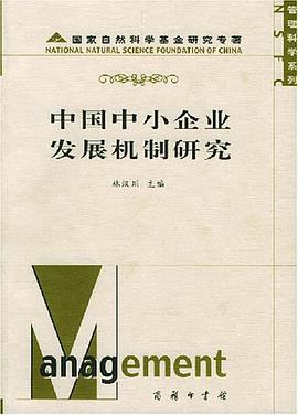 中国中小企业发展机制研究 pdf epub mobi 电子书 下载