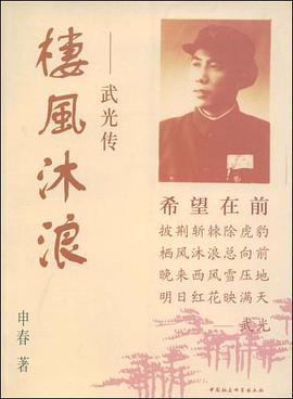 楼风沐浪 pdf epub mobi 电子书 下载