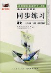 同步練習 pdf epub mobi 電子書 下載