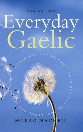 Everyday Gaelic pdf epub mobi 电子书 下载
