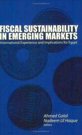 Fiscal Sustainability in Egypt pdf epub mobi 电子书 下载
