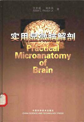 实用显微脑解剖 pdf epub mobi 电子书 下载