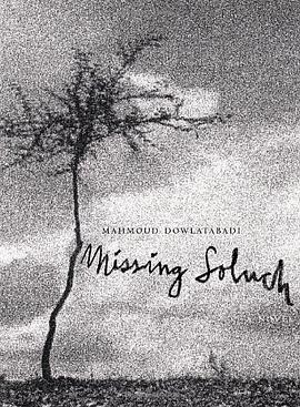 Missing Soluch pdf epub mobi 电子书 下载
