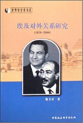 埃及对外关系研究 pdf epub mobi 电子书 下载