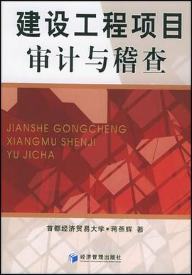 建设工程项目审计与稽查 pdf epub mobi 电子书 下载
