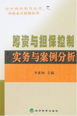 筹资与担保控制实务与案例分析 pdf epub mobi 电子书 下载