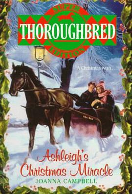 Ashleigh's Christmas Miracle pdf epub mobi 电子书 下载