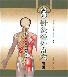 实用针灸经外奇穴图谱