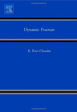 Dynamic Fracture