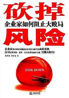砍掉风险 pdf epub mobi 下载