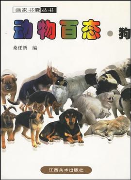 动物百态·狗