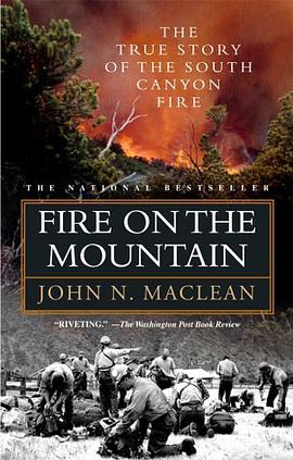 Fire on the Mountain pdf epub mobi 电子书 下载