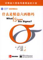 什麼是精益六西格瑪 pdf epub mobi 電子書 下載