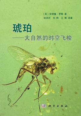 琥珀 pdf epub mobi 電子書 下載