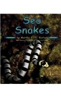 Sea Snakes pdf epub mobi 电子书 下载