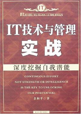 IT技术与管理实战 pdf epub mobi 电子书 下载