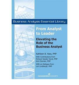 From Analyst to Leader pdf epub mobi 电子书 下载