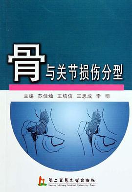 骨与关节损伤分型 pdf epub mobi 电子书 下载
