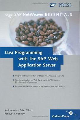 JAVA Programming With the SAP Web Application Server pdf epub mobi 电子书 下载