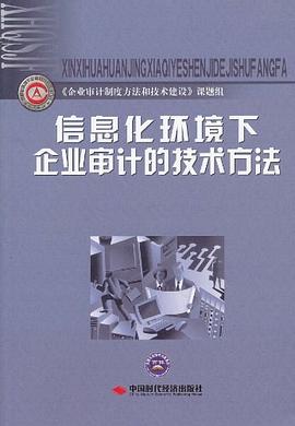 信息化環境下企業審計的技術方法 pdf epub mobi 電子書 下載