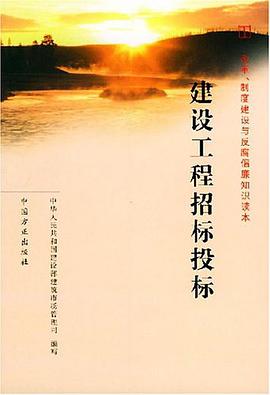 建设工程招标投标 pdf epub mobi 电子书 下载