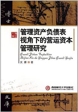 管理资产负债表视角下的营运资本管理研究 pdf epub mobi 电子书 下载