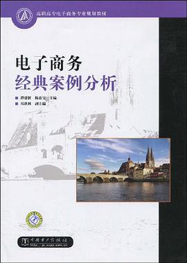 电子商务经典案例分析 pdf epub mobi 电子书 下载