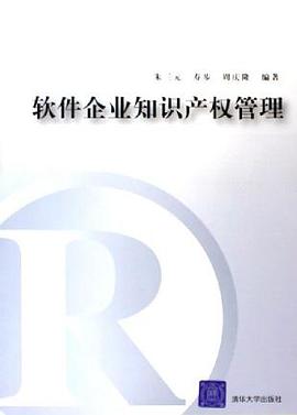 软件企业知识产权管理 pdf epub mobi 电子书 下载