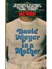 David Meyer Is a Mother pdf epub mobi 电子书 下载