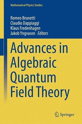 Advances in Algebraic Quantum Field Theory pdf epub mobi 电子书 下载