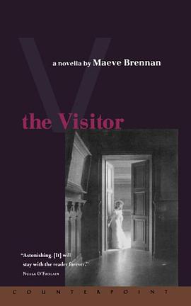 The Visitor pdf epub mobi 電子書 下載
