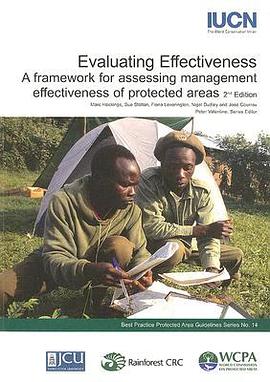 Evaluating Effectiveness pdf epub mobi 電子書 下載