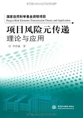 项目风险元传递理论与应用