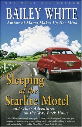 Sleeping at the Starlite Motel pdf epub mobi 电子书 下载