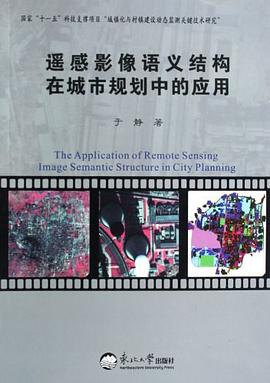 遥感影像语义结构在城市规划中的应用 pdf epub mobi 电子书 下载