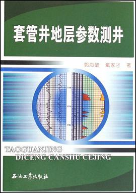 套管井地层参数测井 pdf epub mobi 电子书 下载
