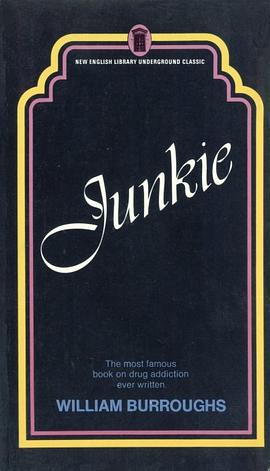 Junkie pdf epub mobi 电子书 下载